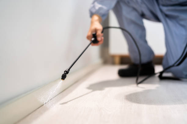 Licensed Termite Control service in Oaklyn, NJ - Show Me Pest Control