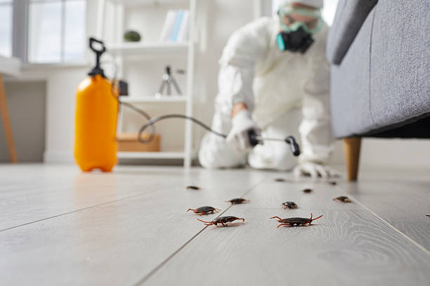 Post-Treatment Bed Bug Interceptor Monitoring in Oaklyn